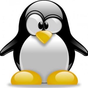 Free Penguin Gift with Every Purchase